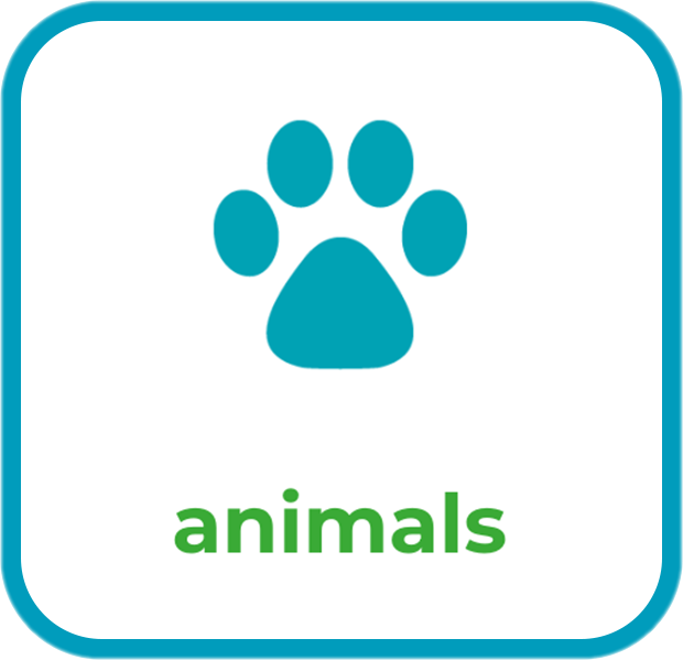 Animals